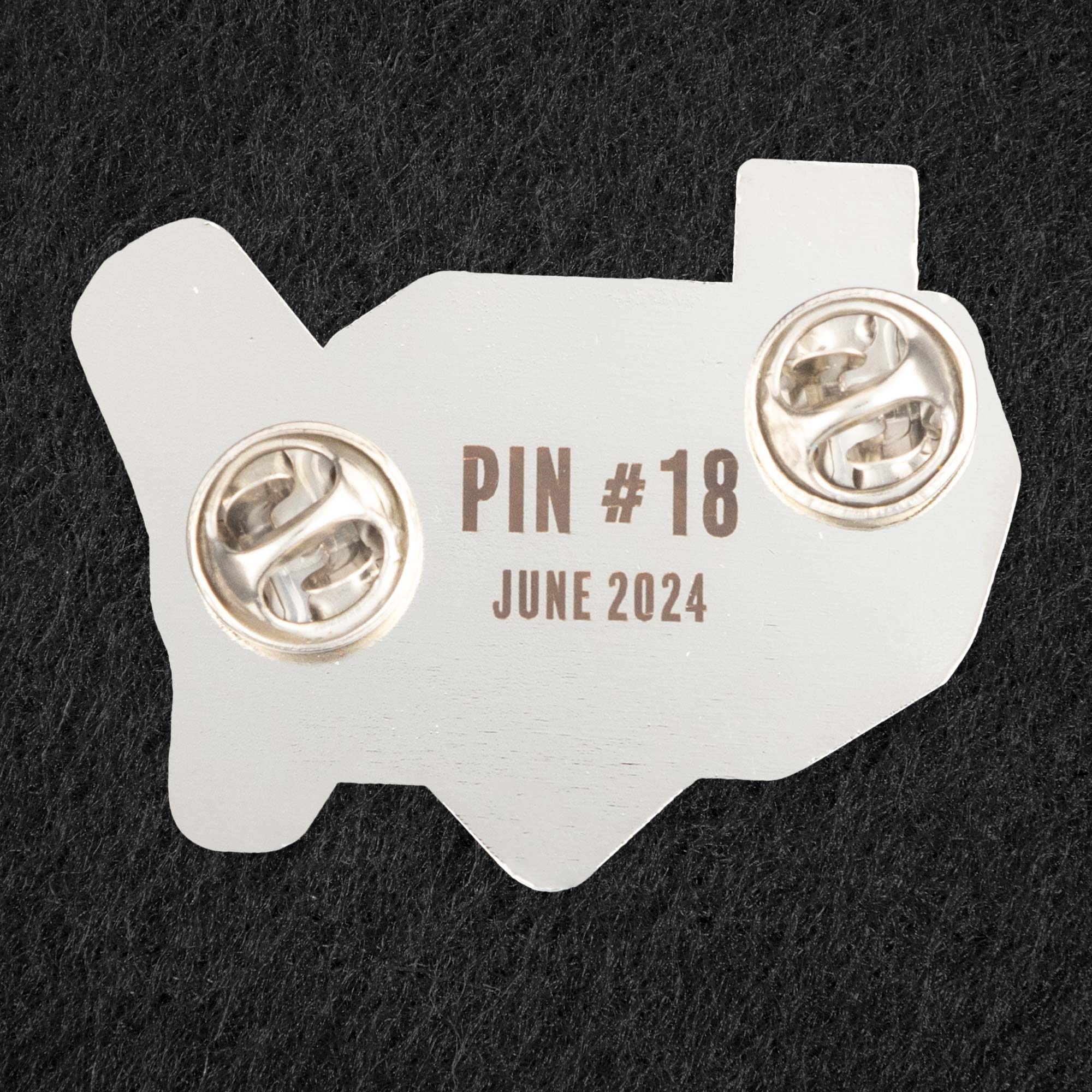 Pin of the Month - June 2024 - Baseball Lives Here - Image 4