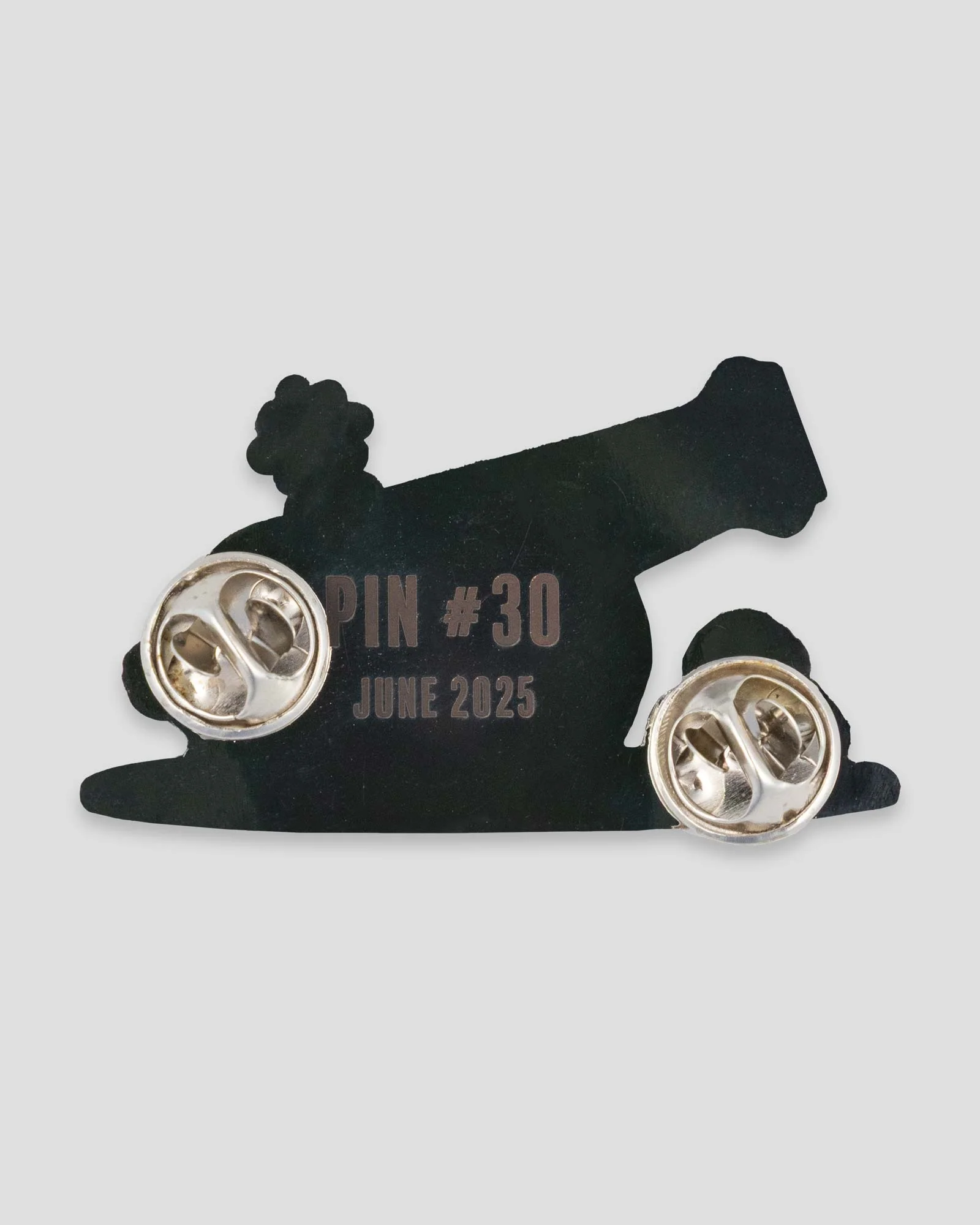 Pin of the Month - June 2025 - Cannon - Image 2