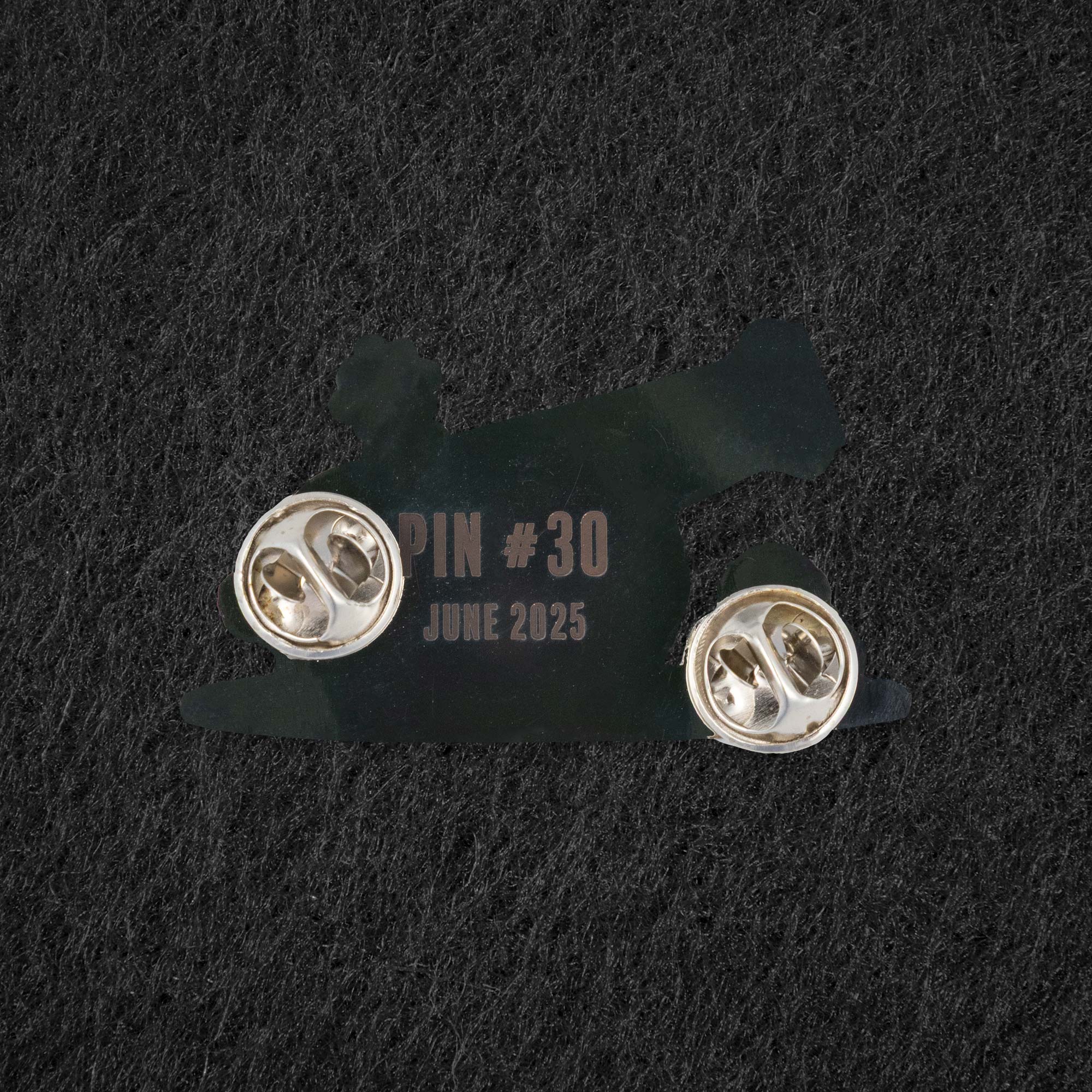 Pin of the Month - June 2025 - Cannon - Image 4