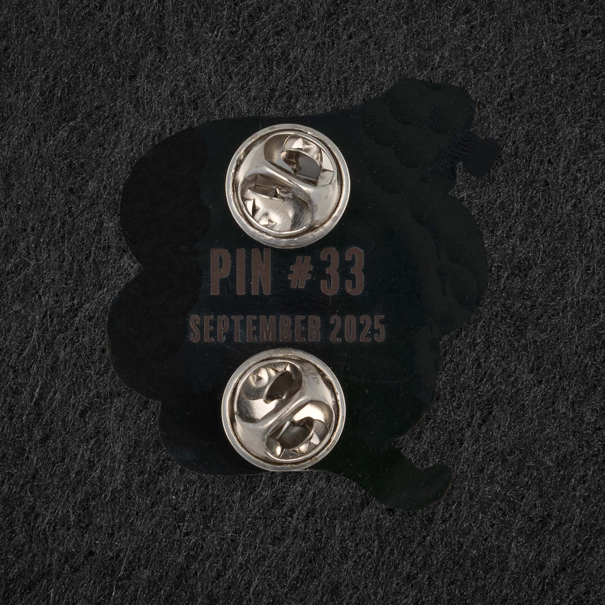 Pin of the Month - September 2025 - Pitcher Dojo - Image 4