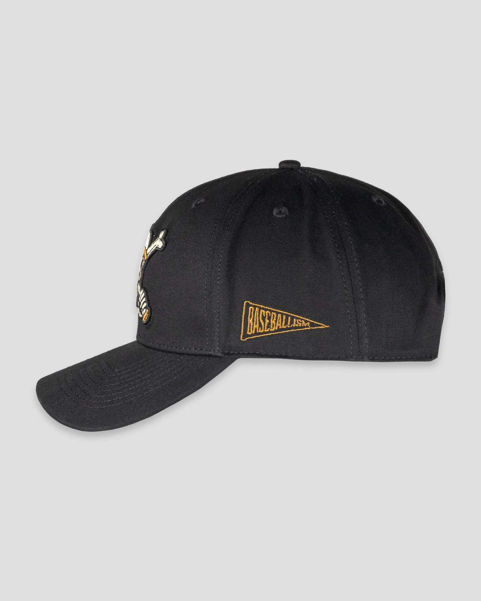 Sticks and Stones Shallow Crown Fan Cap - Image 3