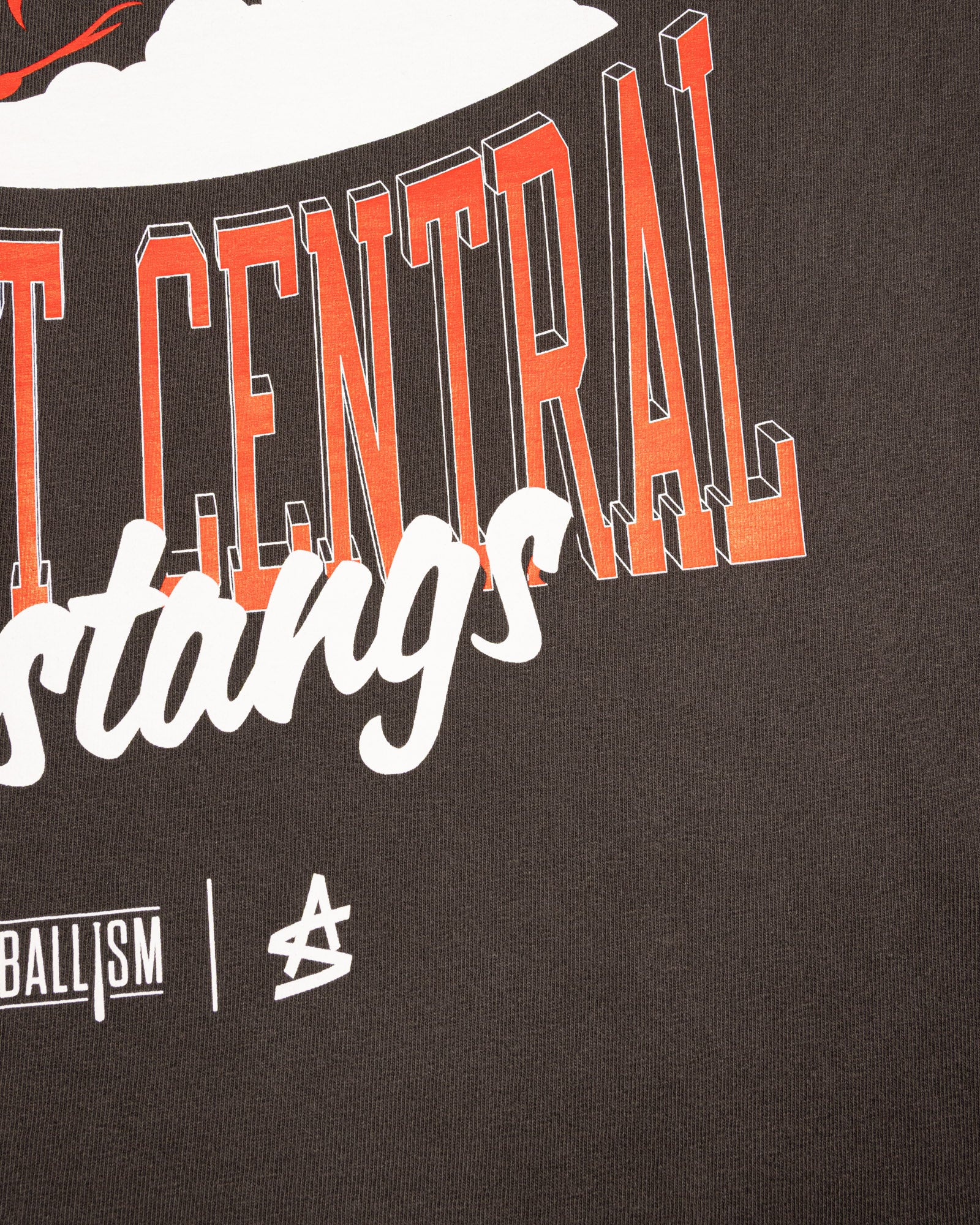 Tennessee Catholic Baptist Central Relaxed Fit T-Shirt (Carbon) - Baseballism x Austin Schultz - Image 2