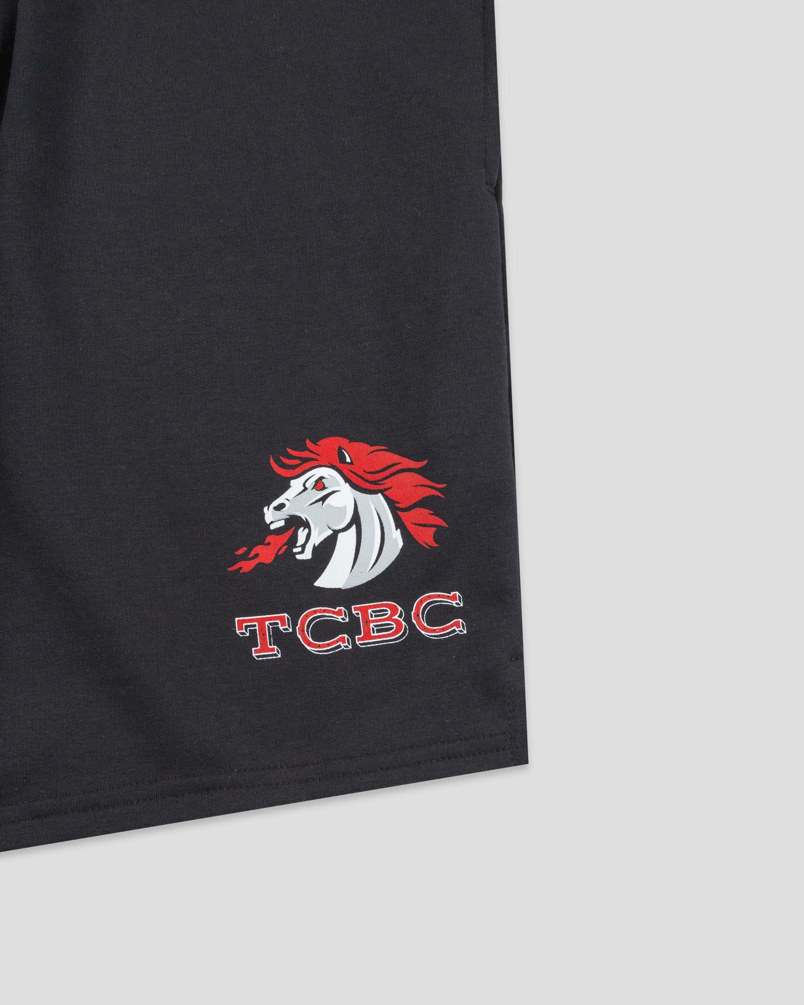 Tennessee Catholic Baptist Central Sweat Shorts - Baseballism x Austin Schultz - Image 4
